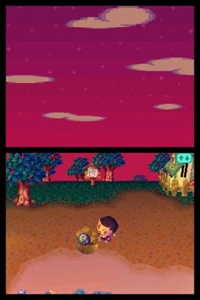 Animal Crossing: Wild World Image