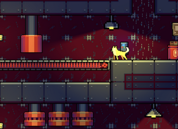 Animal Spirit: Awakening Image