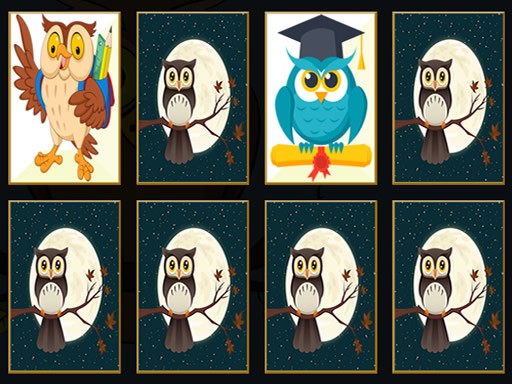 Games like Cute Owl Memory