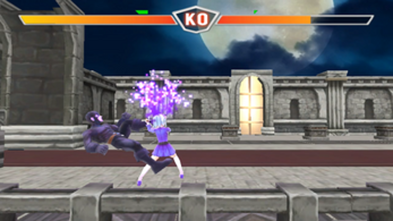 SEX FIGHTER Image