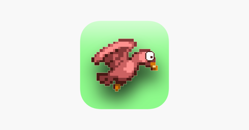 Large Bird Image