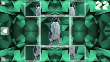 Poly Puzzle: Birds Image