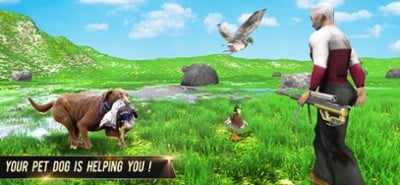 Duck Hunting Animal Shooting Image