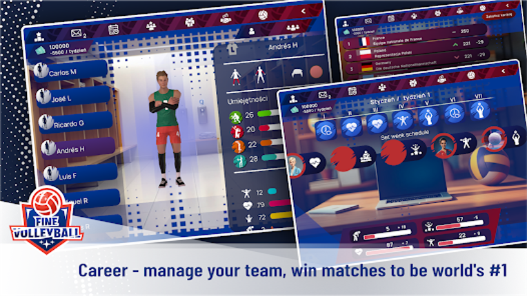 Fine Volleyball Image