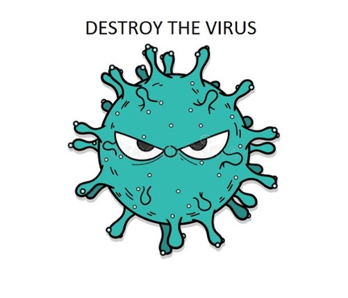 DESTROY THE VIRUS Game Cover