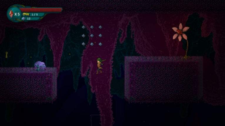In Depths of Elora Image