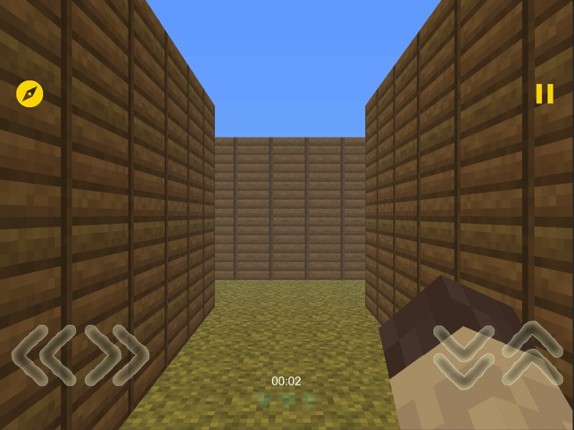 Mine Maze 3D Image