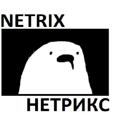 NETRIX Image