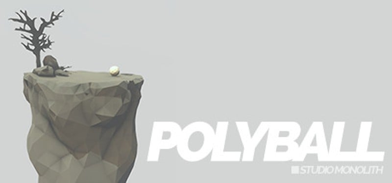 Polyball Game Cover