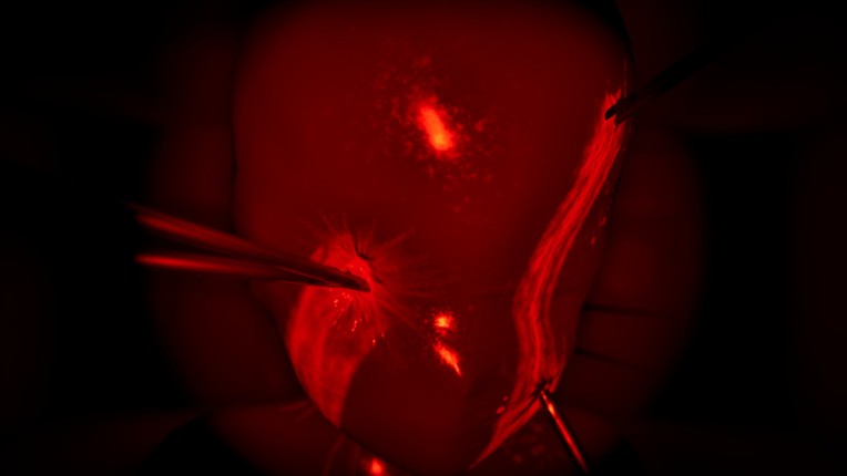 Door(2/3)¹³ screenshot