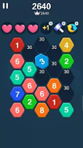 Hexa Number Puzzle Image