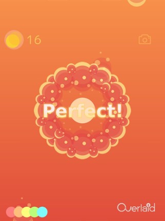 Overlaid Image