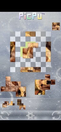 PicPu - Dog Picture Puzzle screenshot