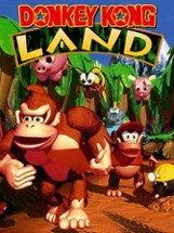 Donkey Kong Land Image