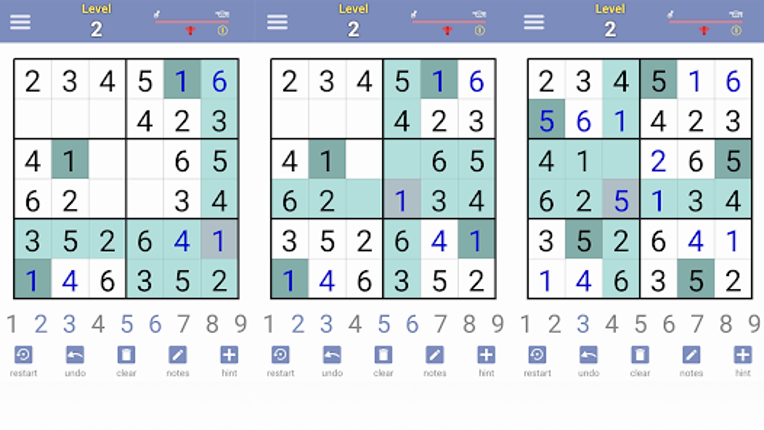 Irregular Sudoku Logic Puzzles Image
