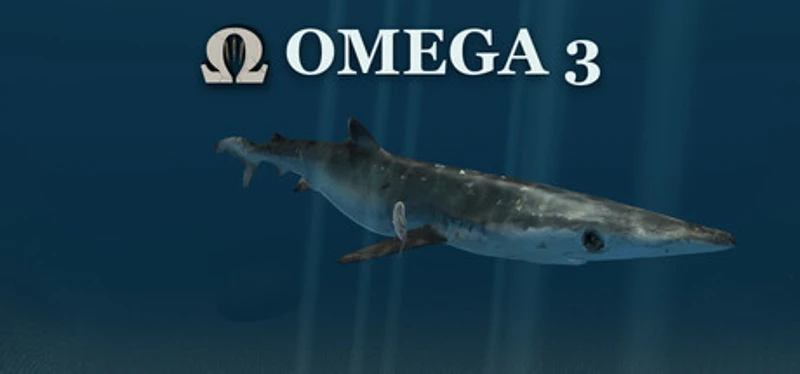 Omega 3 Image