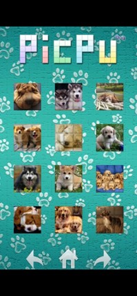 PicPu - Dog Picture Puzzle Image