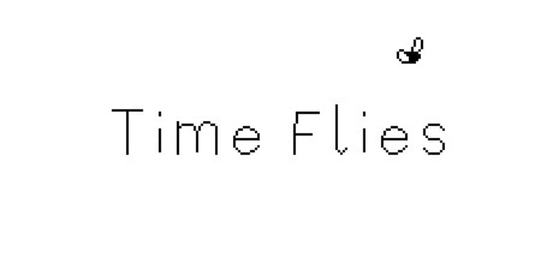 Time Flies Game Cover