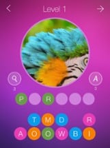 What's the Photo? ~ Free Close up Game Quiz Image