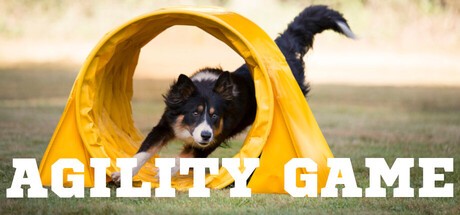 Games like Agility Game