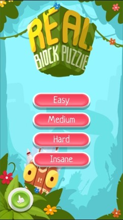 Block Puzzle Free Game Real Image