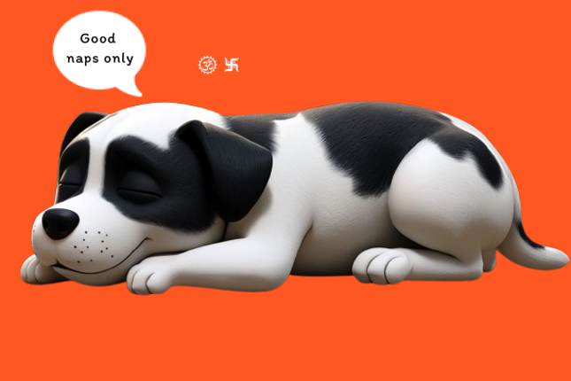 Detective Frizbee Image