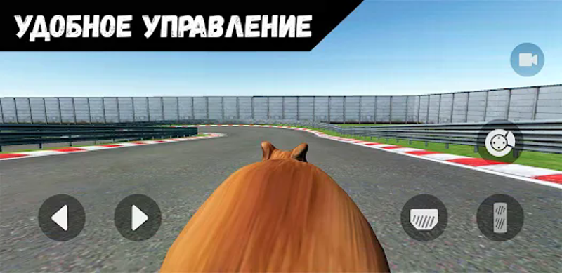 Pablo Cat Race Game Image