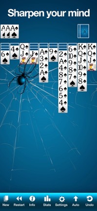 Spider Solitaire ‏‎ Image
