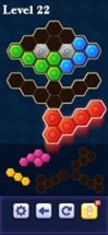 Block Hexa Puzzle 2019 Image