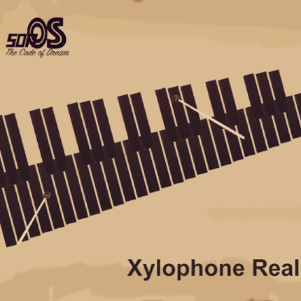 Xylophone Real: 2 mallet types Image