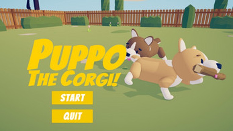 Puppo The Corgi Image