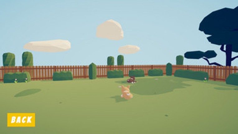 Puppo The Corgi screenshot