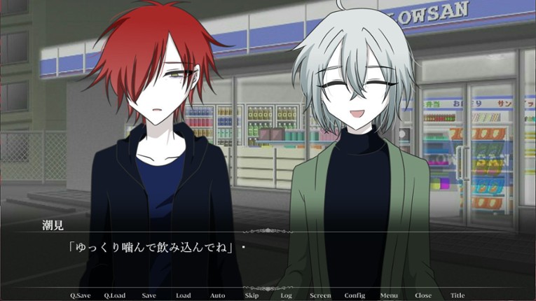 Memory Visiting Image