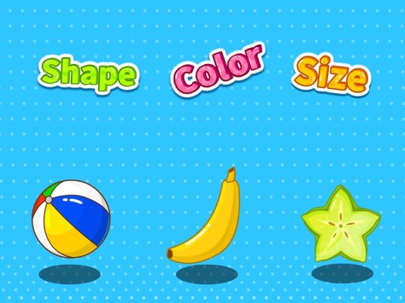 Shape Color Size by BabyBus screenshot