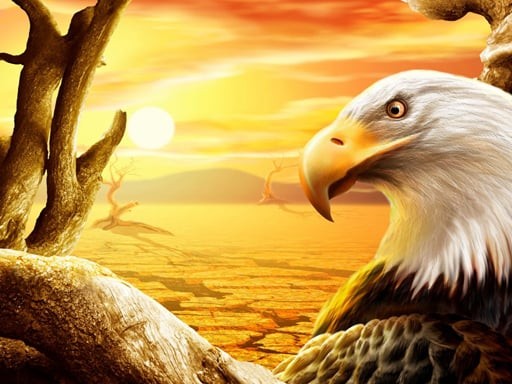 Games like Eagle Slide