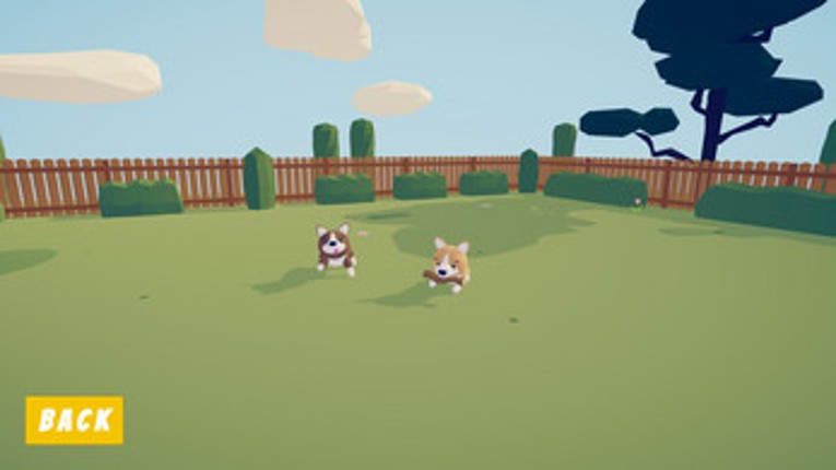 Puppo The Corgi screenshot