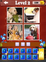 New - 4 pics 1 Word Image