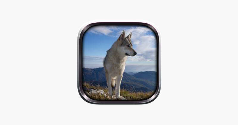 Wild Wolf Life Simulator Image