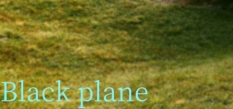 Games like Black plane