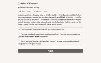 Captive of Fortune Image