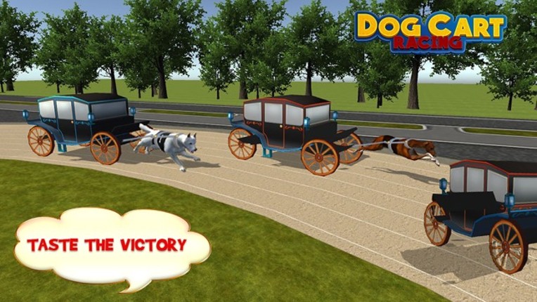 Dog Cart Race : sled dog race by driving  wagons Image