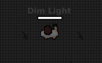 Dim Light Image