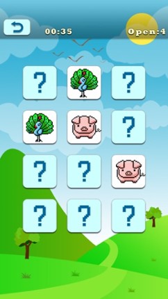 Memory Animal Image