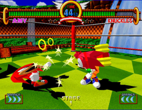 Sonic the Fighters Image