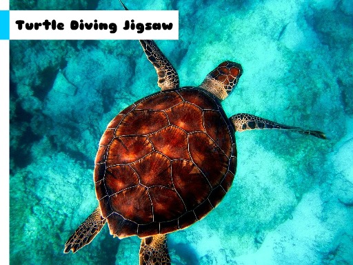 Games like Turtle Diving Jigsaw