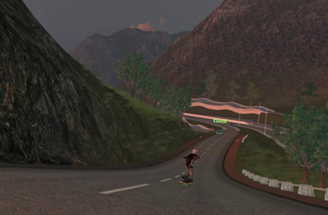 Downhill Skater Image
