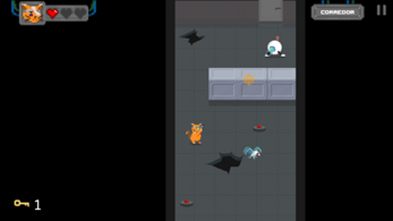 Projeto T.A.P.I.O.C.A screenshot