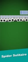 Spider Solitaire Poker Game Image