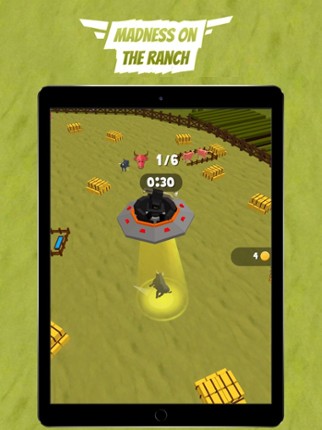 Bulls Rodeo: Escape Animals Image