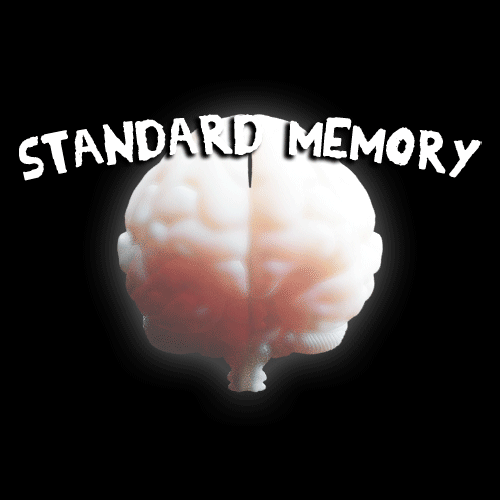 Games like Standard Memory